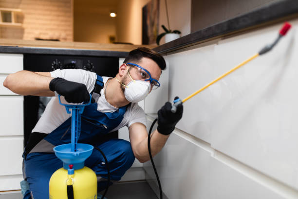 Best Pest Prevention Services  in Panther Valley, NJ