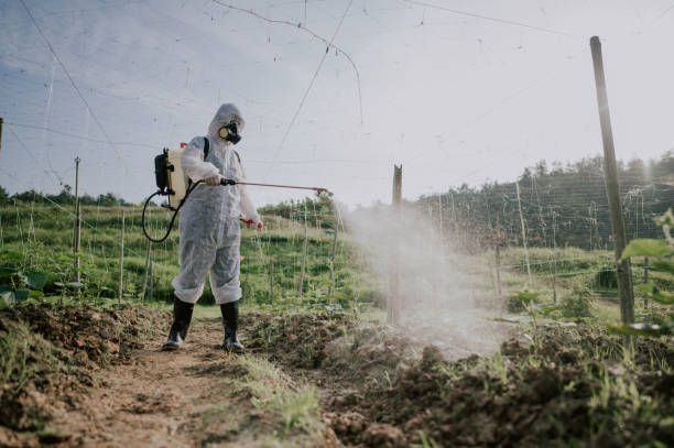 Best Mosquito Control Services  in Panther Valley, NJ