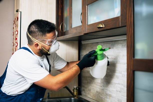 Reliable Panther Valley, NJ Pest Control Solutions