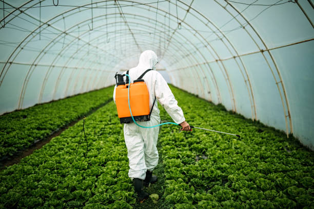 Best Commercial Pest Control Services  in Panther Valley, NJ