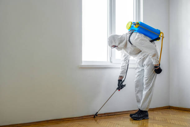Best Best Pest Control Companies  in Panther Valley, NJ