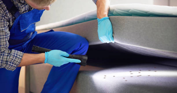 Best Pest Control Near Me  in Panther Valley, NJ