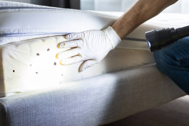 Best Wildlife Control Services  in Panther Valley, NJ