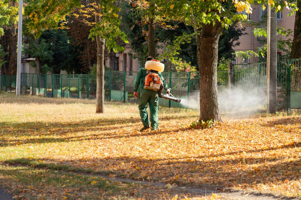 Best Mosquito Control Services  in Panther Valley, NJ