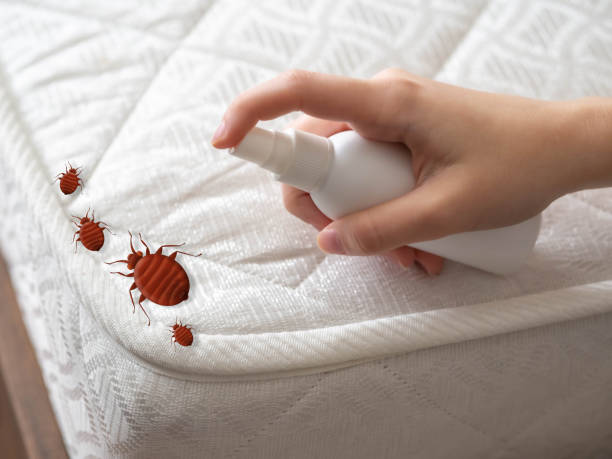 Best Pest Control for Businesses  in Panther Valley, NJ