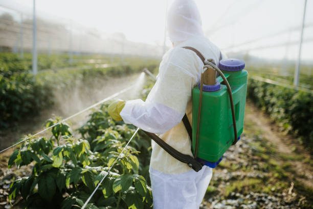Best Pest Control Near Me in Panther Valley, NJ